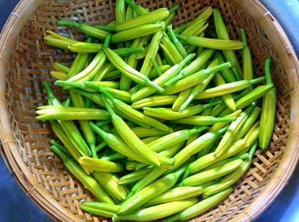 Hoa kim châm (còn gọi là hoa hiên), khi nở màu vàng chanh, vị ngọt, được trồng ở Đà Lạt.