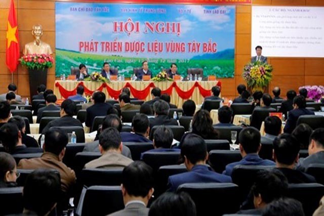 Phát triển dược liệu vùng Tây Bắc