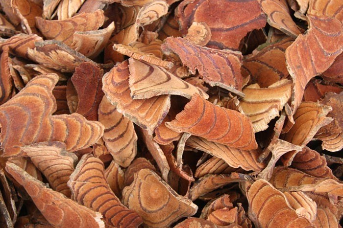 Huyết rồng, Kê huyết đằng khô