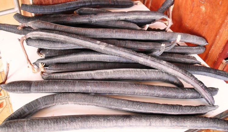 Qủa Ô môi, Ô môi là loài thực vật có danh pháp khoa học: Cassia grandis L.f., thuộc phân họ Vang.