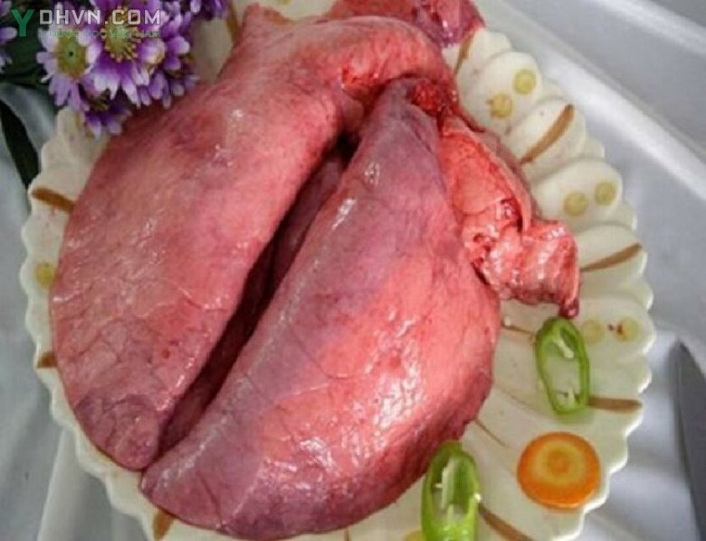 Hình ảnh phổi Lợn 