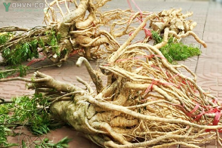 Lưu ý và cảnh báo nguy cơ ngộ độc