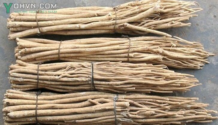 Dược Liệu Hoàng Kỳ