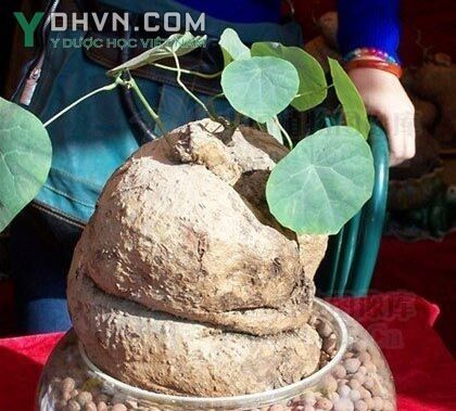 Xem thêm hình ảnh khác