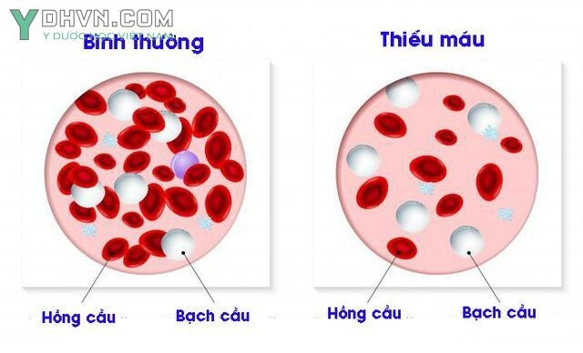 Xem thêm hình ảnh