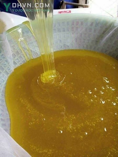 Mật được lấy từ sáp ong