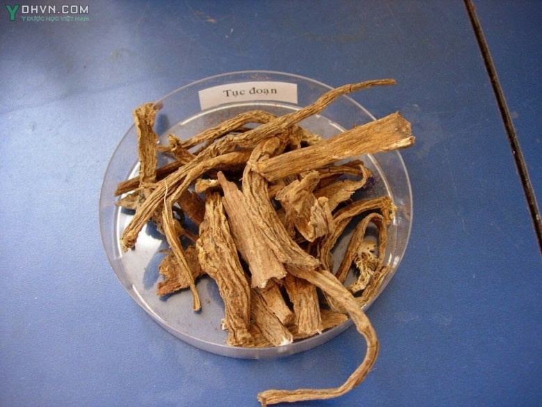 Hình ảnh Dược Liệu Tục Đoan