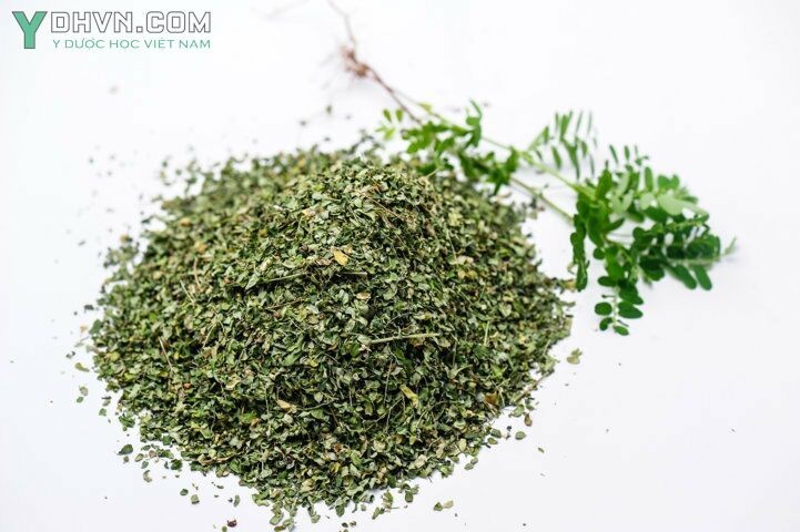 Hình ảnh Dược Liệu có tên Diệp Hạ Châu