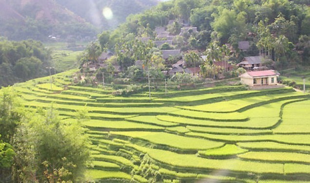 Khu bảo tồn thiên nhiên Pù Luông