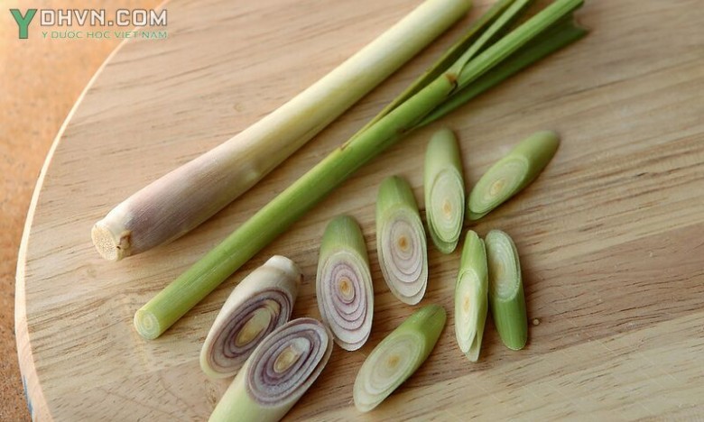 Hình ảnh củ sả 