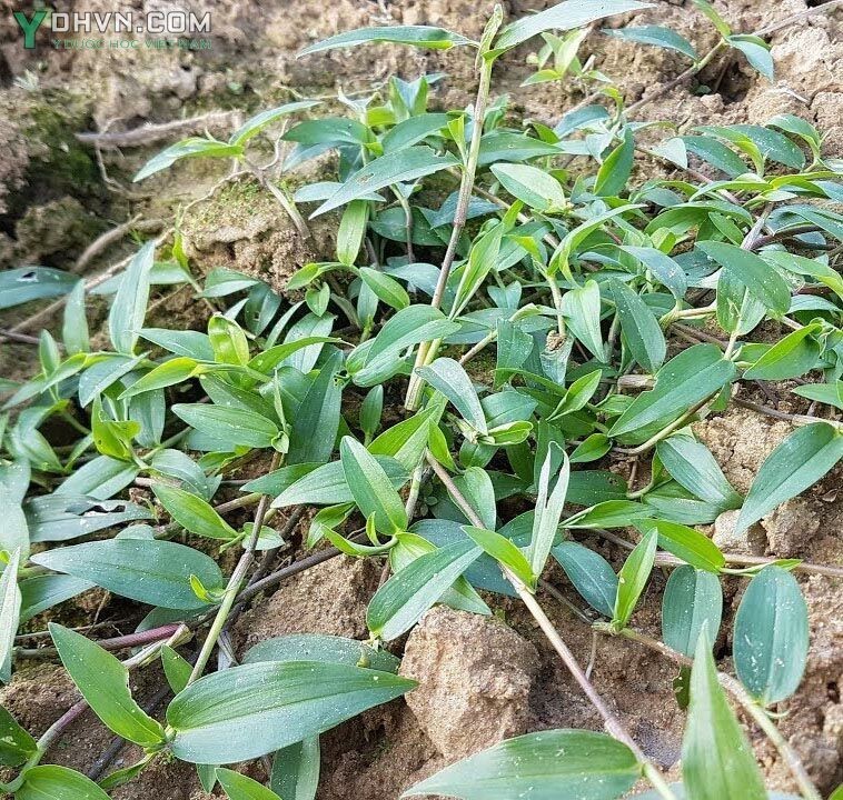 Hình ảnh nhận biết thêm