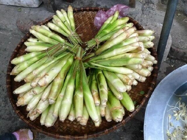 Hình ảnh củ Niễng