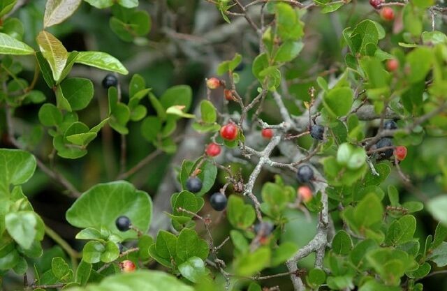 Hình ảnh tham khảo thêm