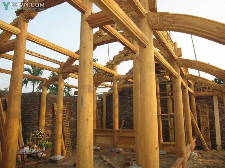 Gỗ Mít và Các Ứng Dụng Trong Đời Sống