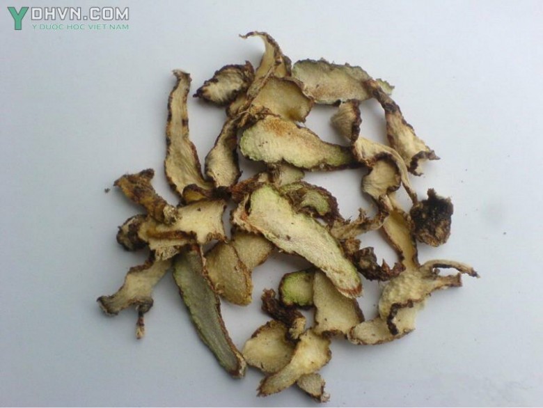 Bạch cập còn có tên bạch căn, cam căn, liên cập thảo. 