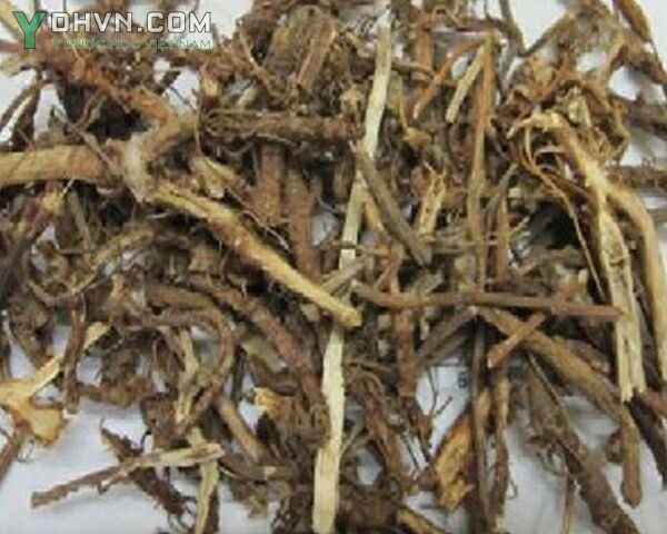 Hình ảnh Dược liệu sài hồ