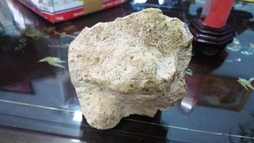 Long diên hương là gì 