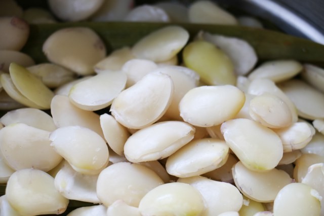 Hạt đậu ngự