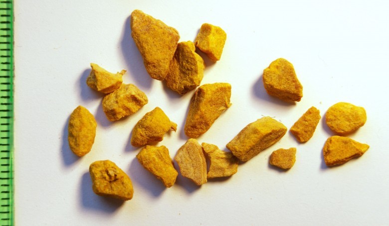 Hình ảnh dược liệu - Rhizoma Curcumae Xanthorrhizae.