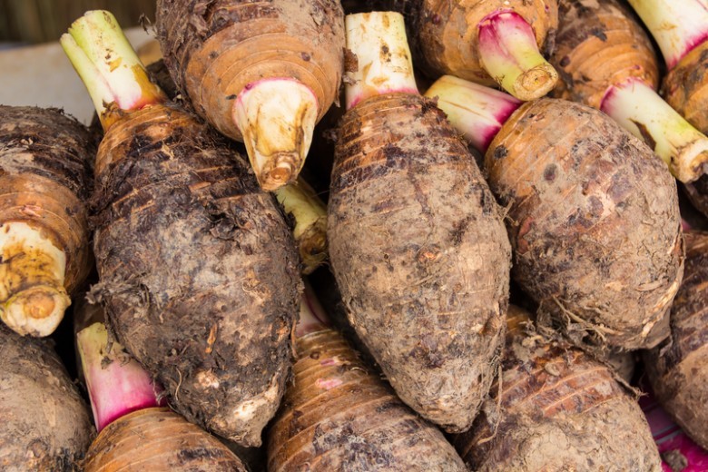 Hình ảnh củ  Khoai nước