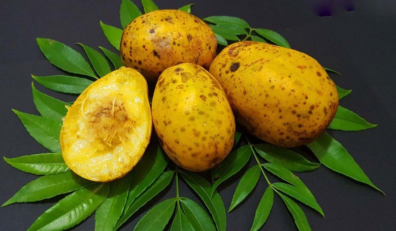 Hình ảnh quả Cóc chín vàng