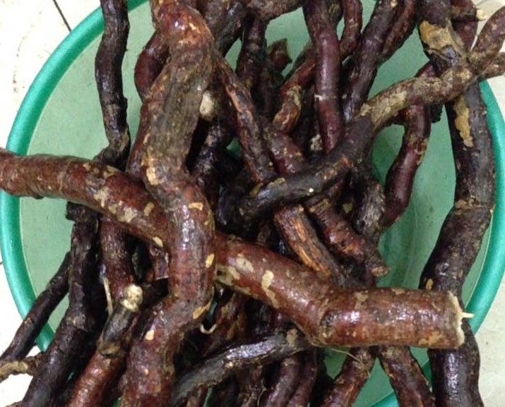 Hình ảnh rễ cây Hà thủ ô trắng, Dây sữa bò - Streptocaulon juventas