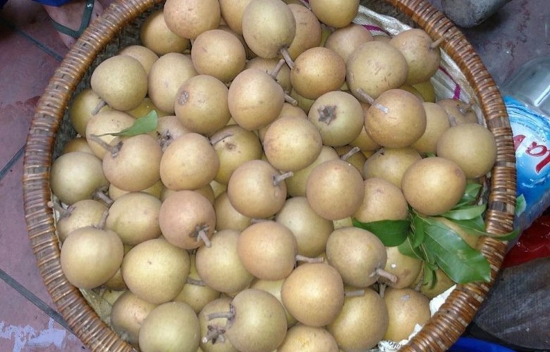Hình ảnh quả Hồng xiêm