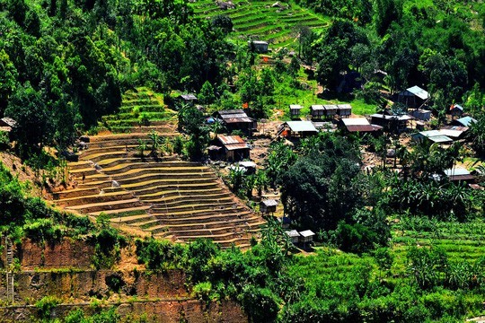 Một số hình ảnh về điểm du lịch sâm Ngọc Linh: