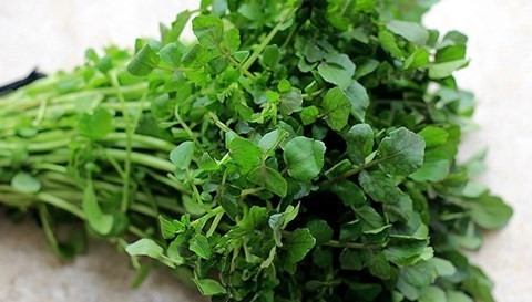 Cải xoong