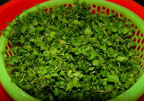 Cách chế biến: