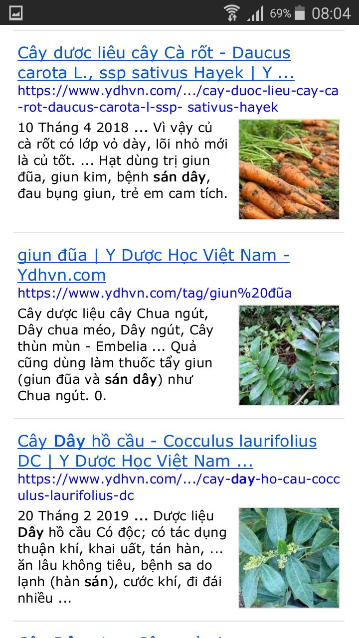 Tham khảo thêm các loại cây khác trị bệnh sán dây hiệu quả
