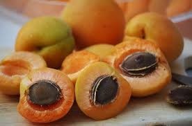Hình ảnh quả khi chín của cây