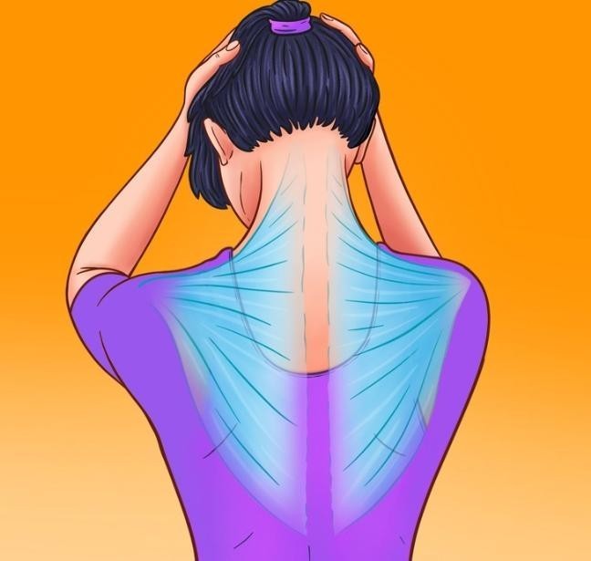1. Thư giãn vùng cơ ở cổ