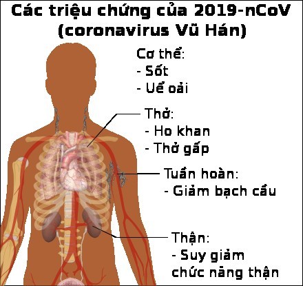Tham khảo thêm