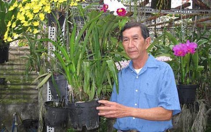 Bong bóng lan đột biến sẽ vỡ