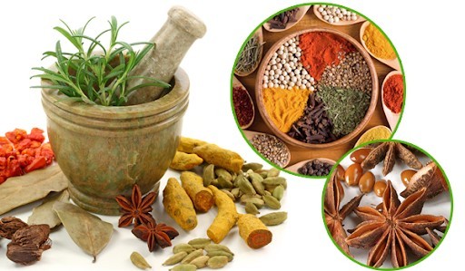 Theo Đông y, nhóm bệnh này thuộc phạm vi với các chứng như cảm nạo, khái thấu, nhũ nga, hầu tý…với nguyên nhân chính xuất phát từ phong hàn, phong nhiệt gây nên. Chuẩn trị cụ thể như sau: