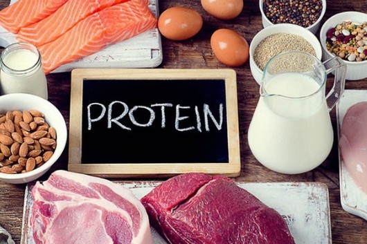 Chất đạm (protein):