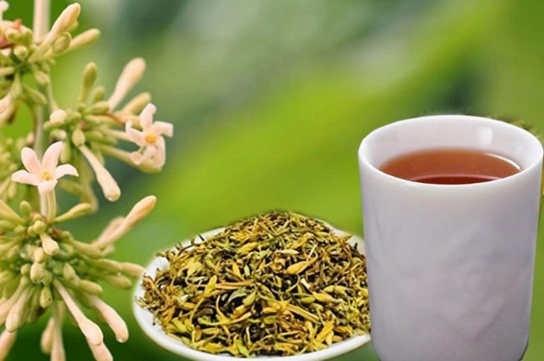 Hoa đu đủ đực và tác dụng chữa bệnh