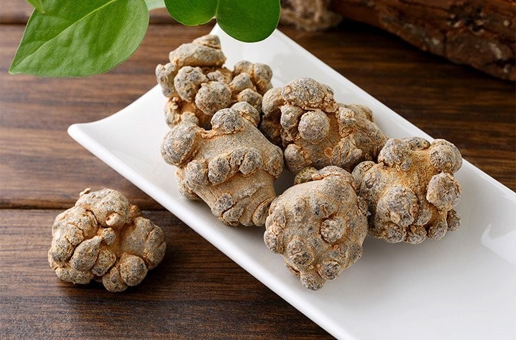 Củ cây Sâm tam thất ( Panax notogingseng) (Burk.) F.H. Chen. )