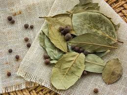 Công dụng của lá nguyệt quế