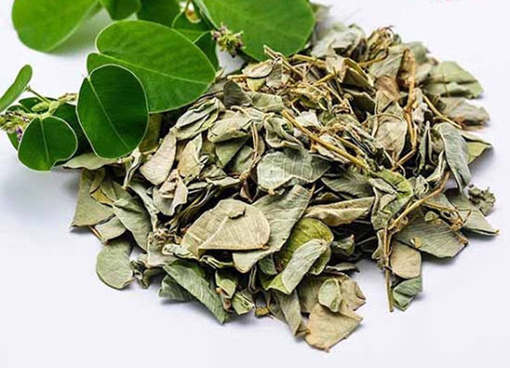Vị thuốc nam Kim tiền thảo  theo Y học cổ truyền