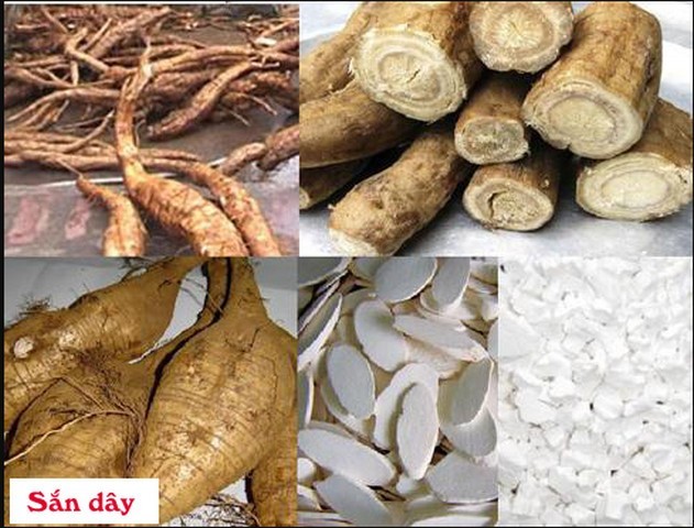 Sắn dây là thức uống rất tốt trong những ngày hè, giúp thanh nhiệt giải độc cơ thể.