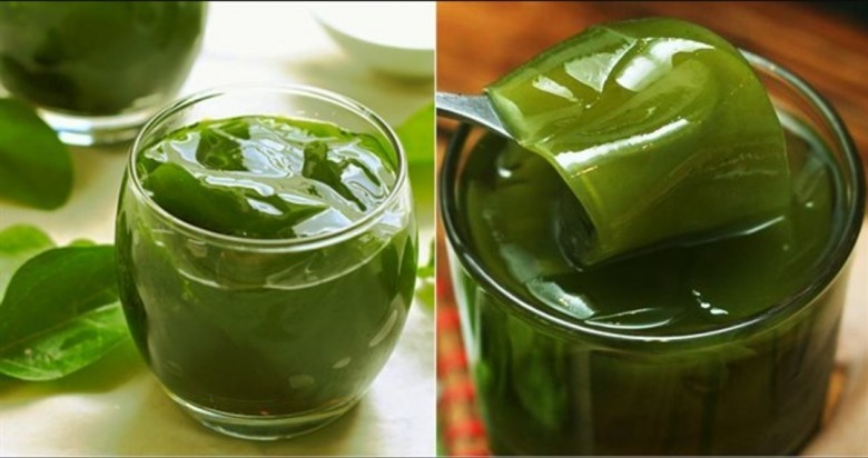 Giống cây sương sâm