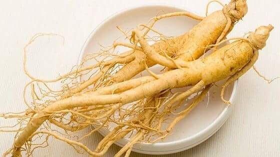 Thảo dược có tác dụng an nguyên khí, chống đau ốm