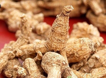 6 loại thảo dược nên dùng trong mùa đông xuân