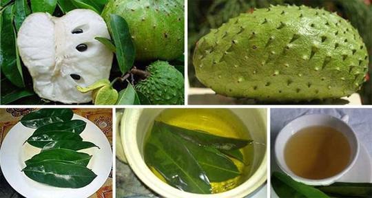 Công dụng chữa bệnh của lá mãng cầu xiêm
