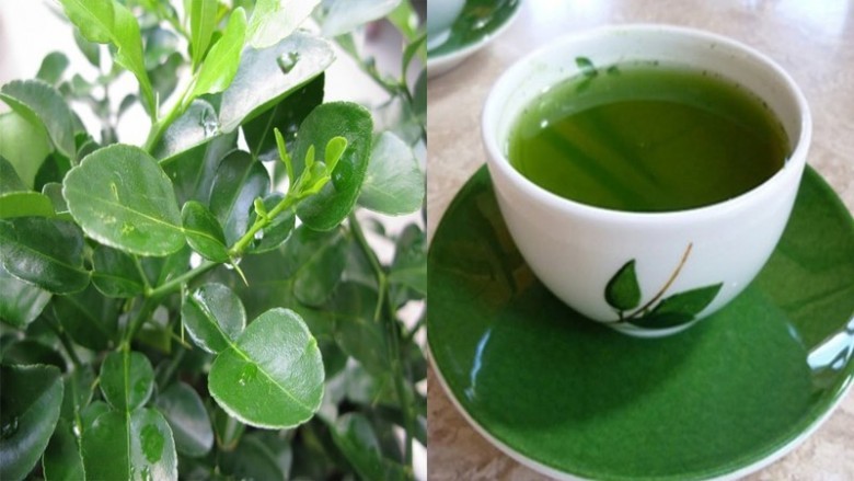 Công dụng chữa bệnh của lá chanh