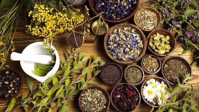 Top những loại thảo dược tốt cho người bệnh huyết áp cao