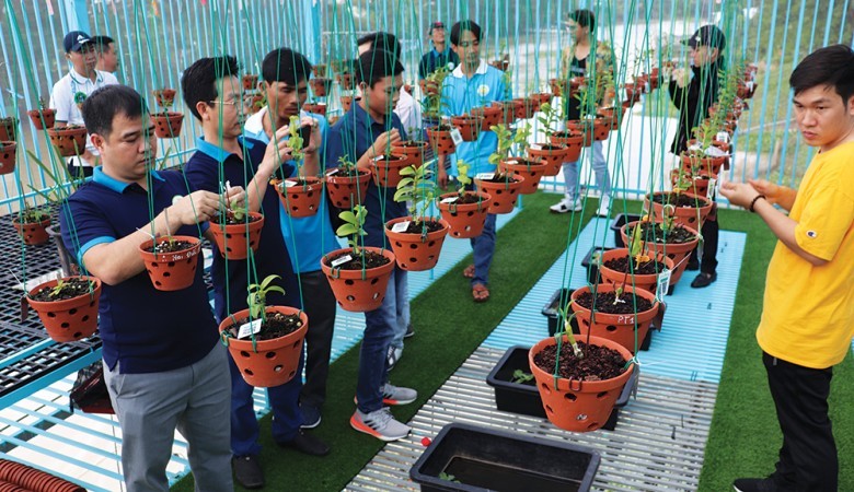 Giao lưu, tìm hiểu các loại lan đột biến
