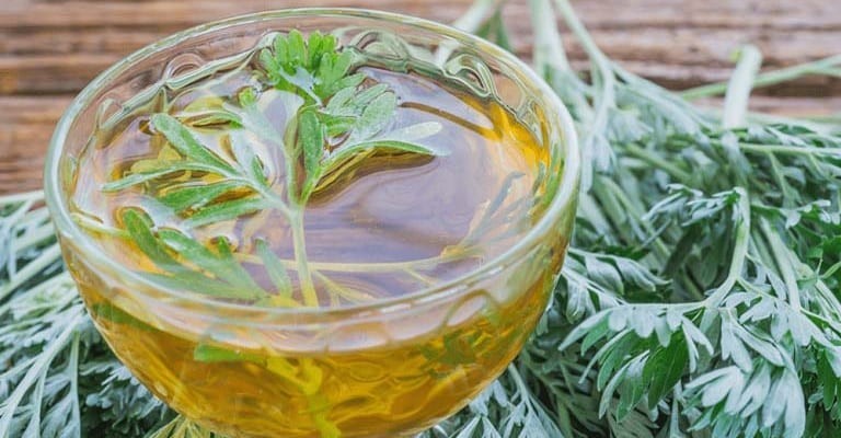 Một số món ăn/bài thuốc từ rau ngải cứu trong Đông y